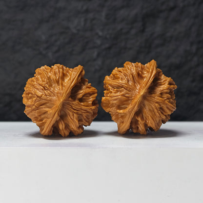 "Heaven and Earth Lord Guan's Hat" Tian Di Er Ye Mao GM-SS-004880 Masterpiece Wenwan Walnuts Pair | 44.0mm x 42.0mm | GM-SS-004880