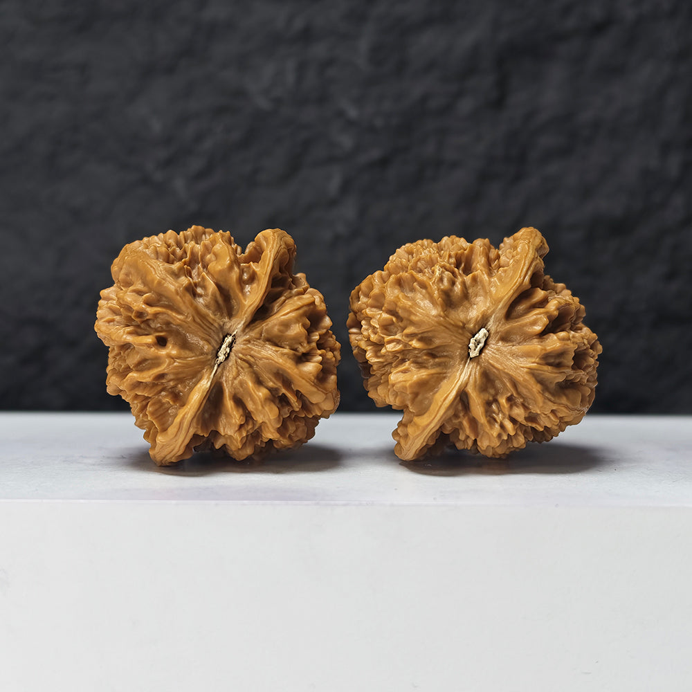 "Dragon Scale Pattern" Long Lin Wen SZ-SS-025919 Masterpiece Wenwan Walnuts Pair | 42.0mm x 42.0mm | SZ-SS-025919