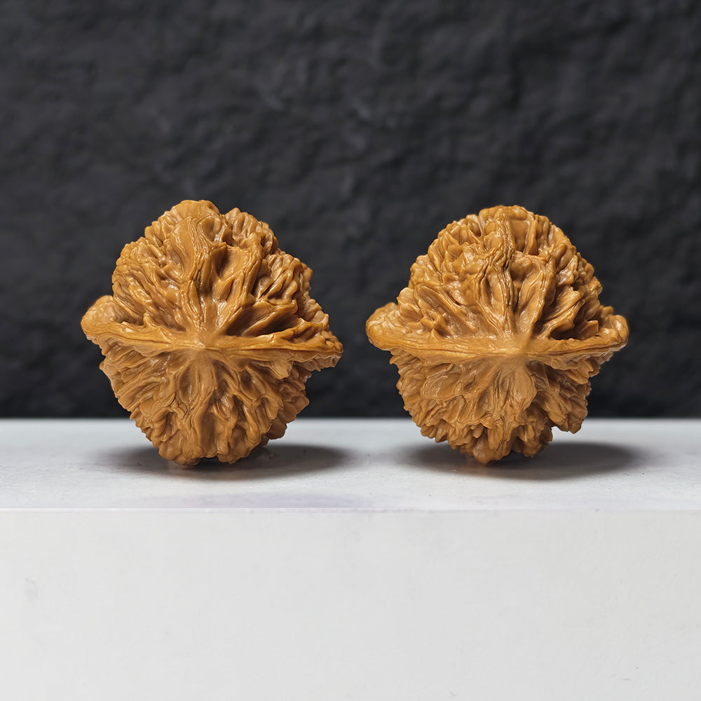 "Dragon Scale Pattern" Long Lin Wen SZ-SS-025919 Masterpiece Wenwan Walnuts Pair | 42.0mm x 42.0mm | SZ-SS-025919