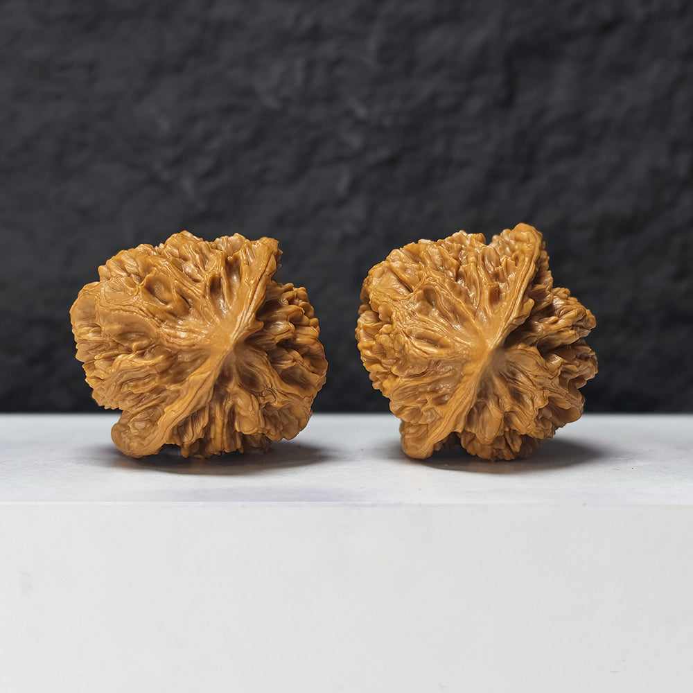 "Dragon Scale Pattern" Long Lin Wen SZ-SS-025919 Masterpiece Wenwan Walnuts Pair | 42.0mm x 42.0mm | SZ-SS-025919