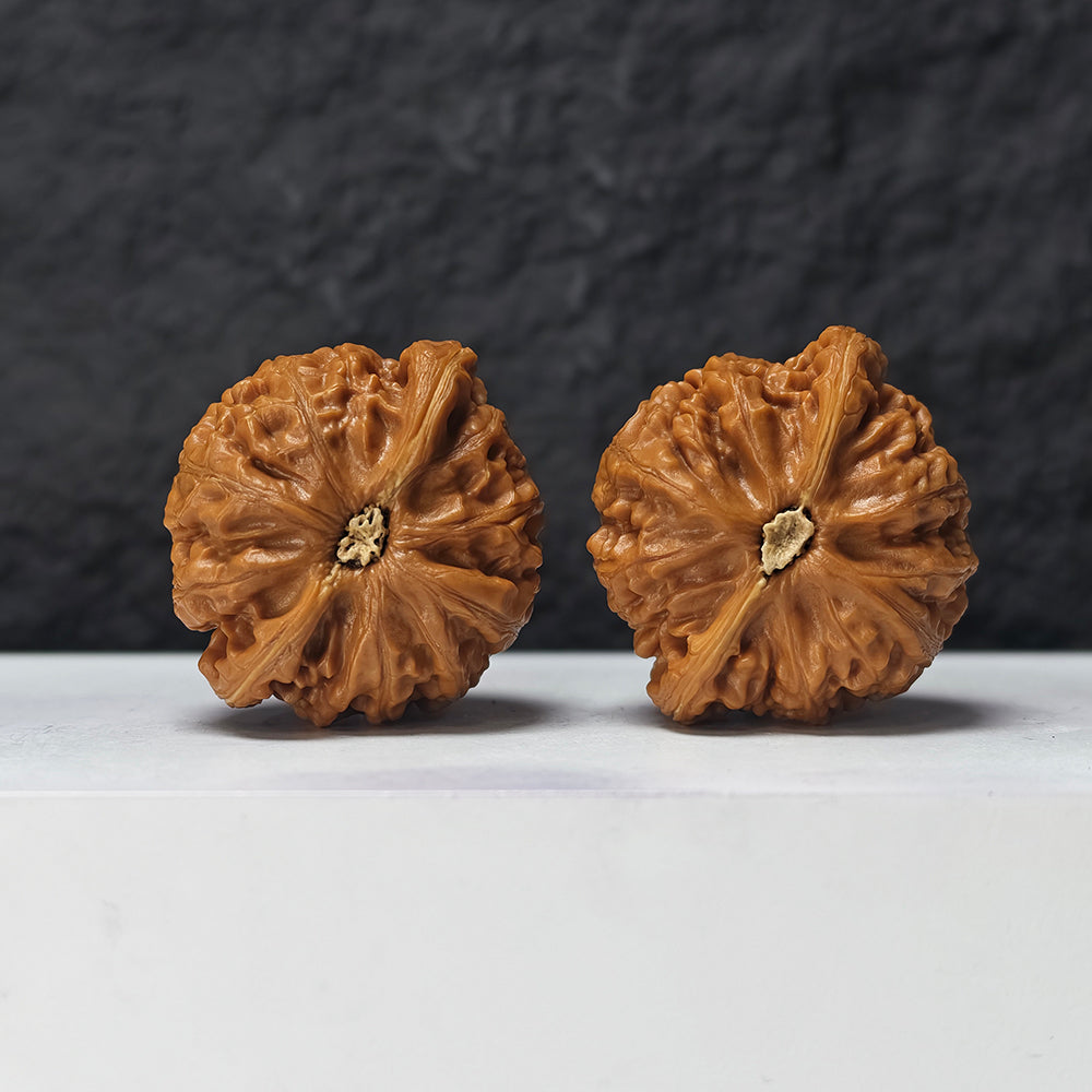 "Palace Lantern" Gong Deng GM-SS-005883 Masterpiece Wenwan Walnuts Pair | 44.0mm x 40.0mm | GM-SS-005883
