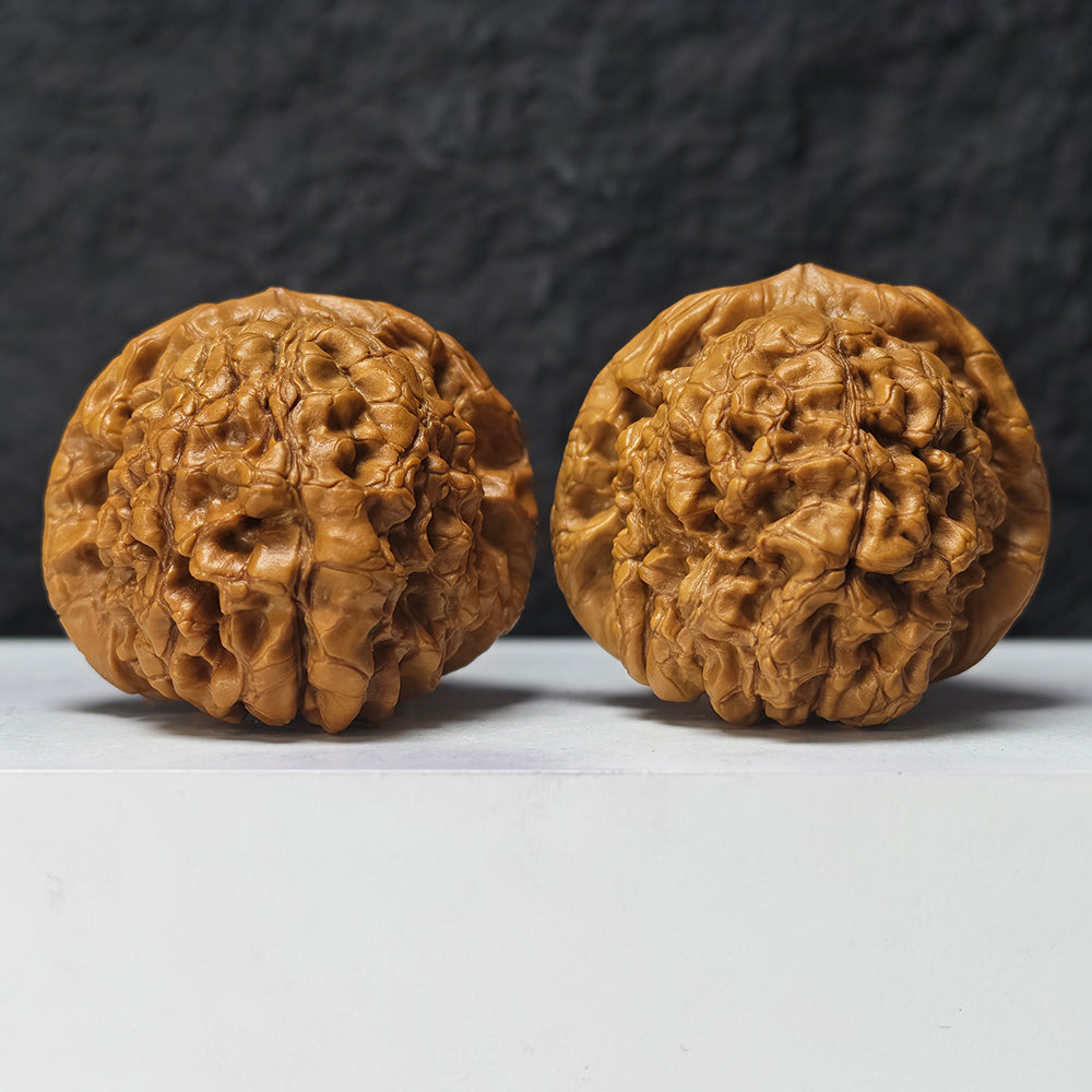 "Dragon Cauldron" Long Ding GM-SSS-011916 Masterpiece Wenwan Walnuts Pair | 52.0mm x 54.0mm | GM-SSS-011916