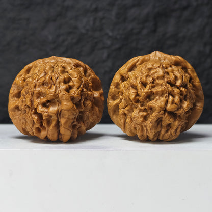 "Dragon Cauldron" Long Ding GM-SSS-011916 Masterpiece Wenwan Walnuts Pair | 52.0mm x 54.0mm | GM-SSS-011916