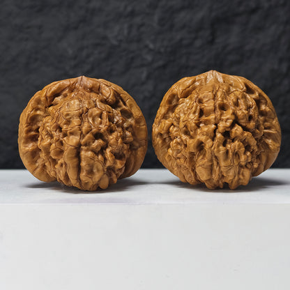 "Dragon Cauldron" Long Ding GM-SSS-011916 Masterpiece Wenwan Walnuts Pair | 52.0mm x 54.0mm | GM-SSS-011916