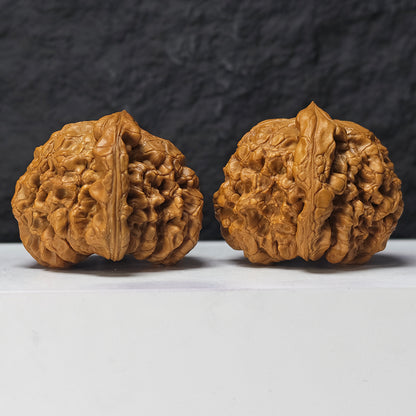 "Dragon Cauldron" Long Ding GM-SSS-011916 Masterpiece Wenwan Walnuts Pair | 52.0mm x 54.0mm | GM-SSS-011916
