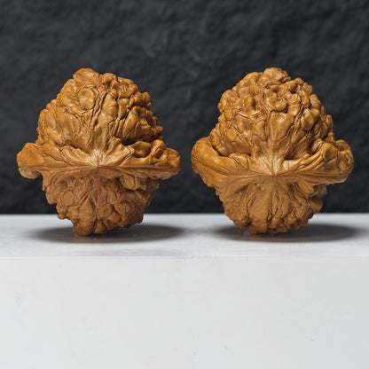 "Dragon Cauldron" Long Ding GM-SSS-011916 Masterpiece Wenwan Walnuts Pair | 52.0mm x 54.0mm | GM-SSS-011916