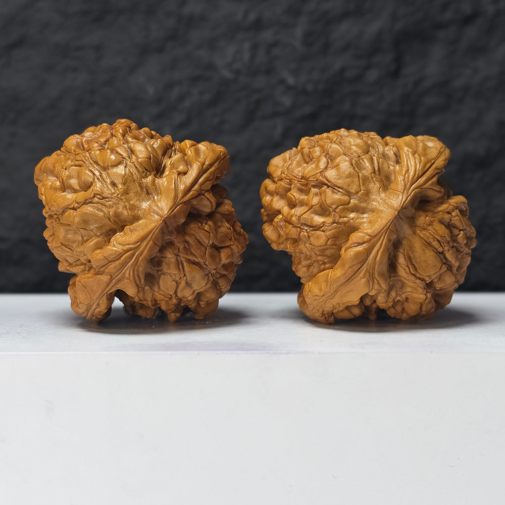 "Dragon Cauldron" Long Ding GM-SSS-011916 Masterpiece Wenwan Walnuts Pair | 52.0mm x 54.0mm | GM-SSS-011916