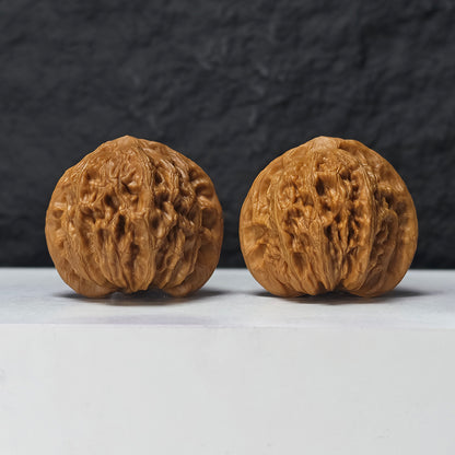 "Gentleman's Hat" Gong Zi Mao GZM-SSS-001886 Masterpiece Wenwan Walnuts Pair | 44.0mm x 40.0mm | GZM-SSS-001886