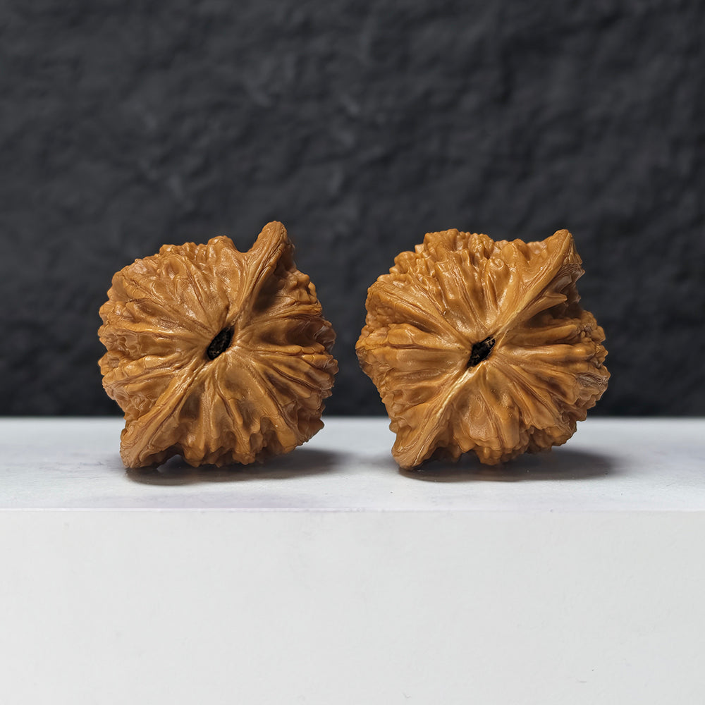 "Gentleman's Hat" Gong Zi Mao GZM-SSS-001886 Masterpiece Wenwan Walnuts Pair | 44.0mm x 40.0mm | GZM-SSS-001886