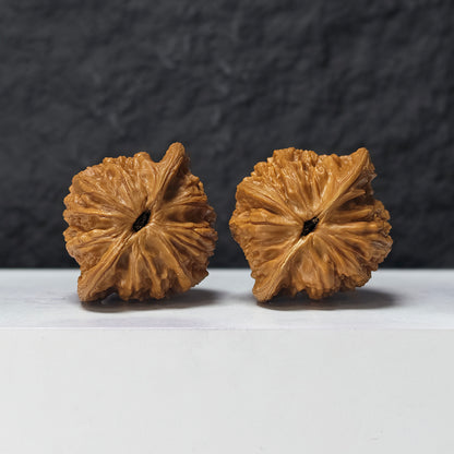"Gentleman's Hat" Gong Zi Mao GZM-SSS-001886 Masterpiece Wenwan Walnuts Pair | 44.0mm x 40.0mm | GZM-SSS-001886