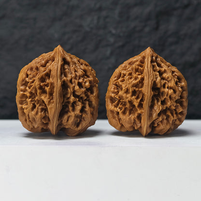 "Phoenix Terrace" Feng Huang Tai GM-SSS-008887 Masterpiece Wenwan Walnuts Pair | 45.0mm x 45.0mm | GM-SSS-008887