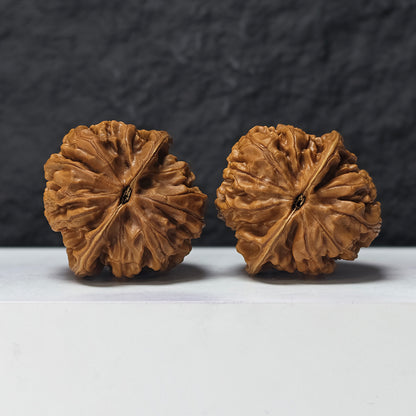 "Phoenix Terrace" Feng Huang Tai GM-SSS-008887 Masterpiece Wenwan Walnuts Pair | 45.0mm x 45.0mm | GM-SSS-008887