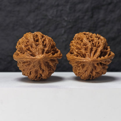 "Phoenix Terrace" Feng Huang Tai GM-SSS-008887 Masterpiece Wenwan Walnuts Pair | 45.0mm x 45.0mm | GM-SSS-008887