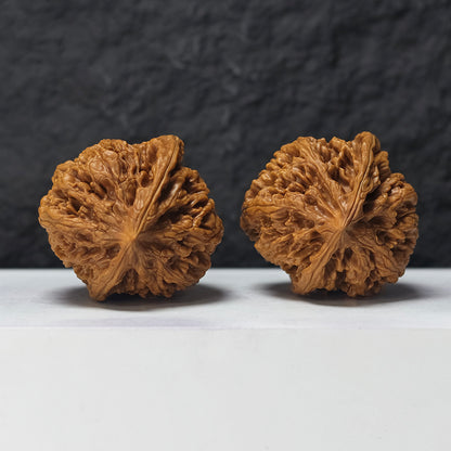 "Phoenix Terrace" Feng Huang Tai GM-SSS-008887 Masterpiece Wenwan Walnuts Pair | 45.0mm x 45.0mm | GM-SSS-008887