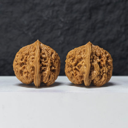 "Dragon Cauldron Valley" Long Ding Gu GM-SS-009918 Masterpiece Wenwan Walnuts Pair | 43.0mm x 41.0mm | GM-SS-009918