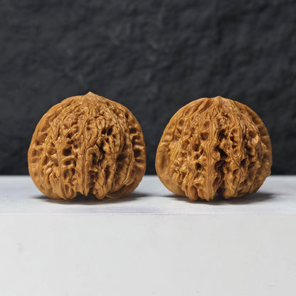 "Dragon Cauldron Valley" Long Ding Gu GM-SS-009918 Masterpiece Wenwan Walnuts Pair | 43.0mm x 41.0mm | GM-SS-009918
