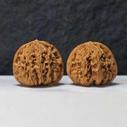"Dragon Cauldron Valley" Long Ding Gu GM-SS-009918 Masterpiece Wenwan Walnuts Pair | 43.0mm x 41.0mm | GM-SS-009918