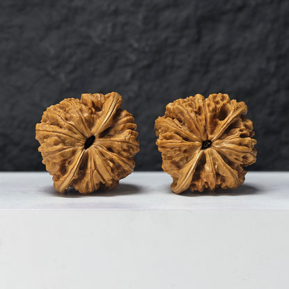 "Dragon Cauldron Valley" Long Ding Gu GM-SS-009918 Masterpiece Wenwan Walnuts Pair | 43.0mm x 41.0mm | GM-SS-009918