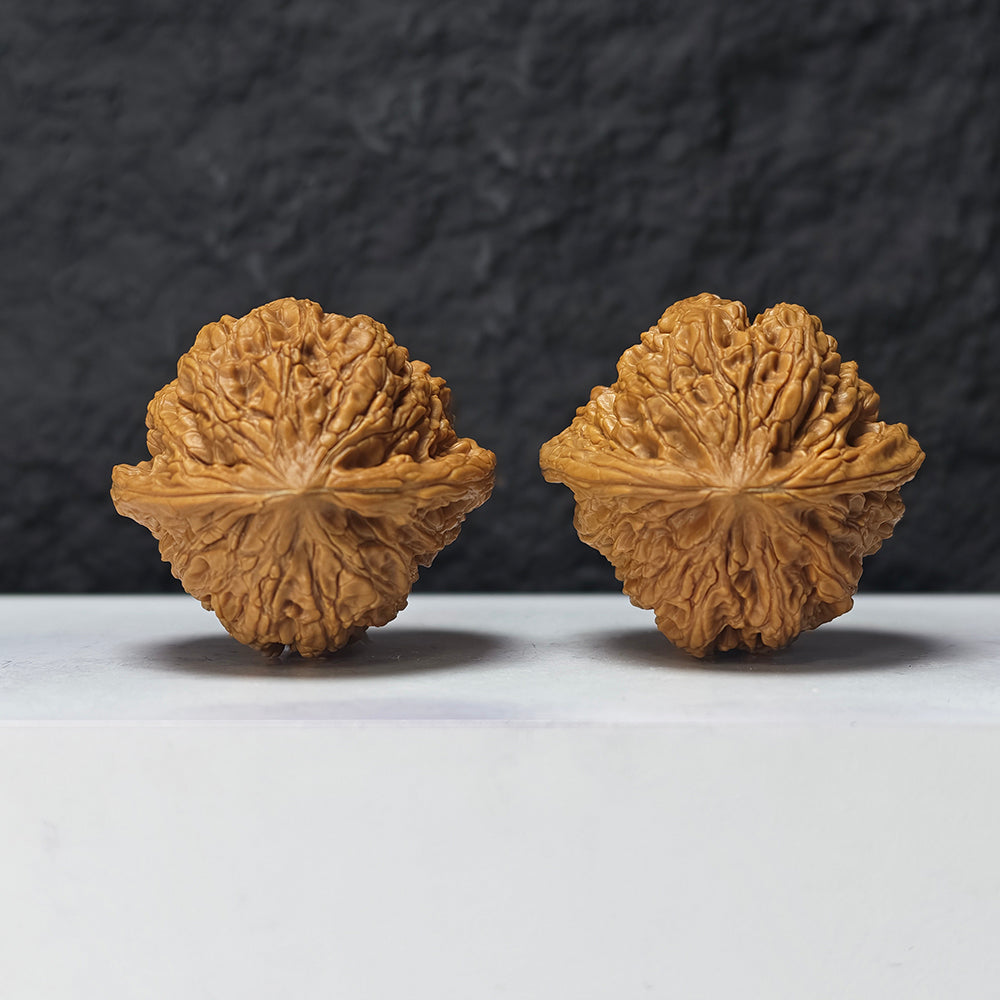 "Dragon Cauldron Valley" Long Ding Gu GM-SS-009918 Masterpiece Wenwan Walnuts Pair | 43.0mm x 41.0mm | GM-SS-009918