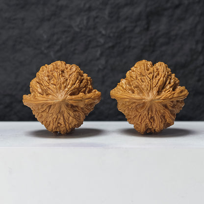 "Dragon Cauldron Valley" Long Ding Gu GM-SS-009918 Masterpiece Wenwan Walnuts Pair | 43.0mm x 41.0mm | GM-SS-009918