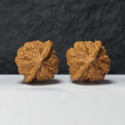 "Dragon Cauldron Valley" Long Ding Gu GM-SS-009918 Masterpiece Wenwan Walnuts Pair | 43.0mm x 41.0mm | GM-SS-009918