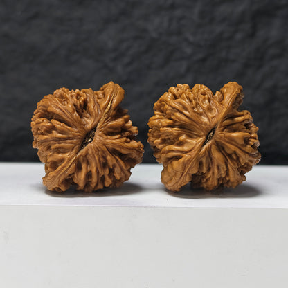 "Liger" Shi Hu Shou HT-SS-006912 Masterpiece Wenwan Walnuts Pair | 47.0mm x 45.0mm | HT-SS-006912