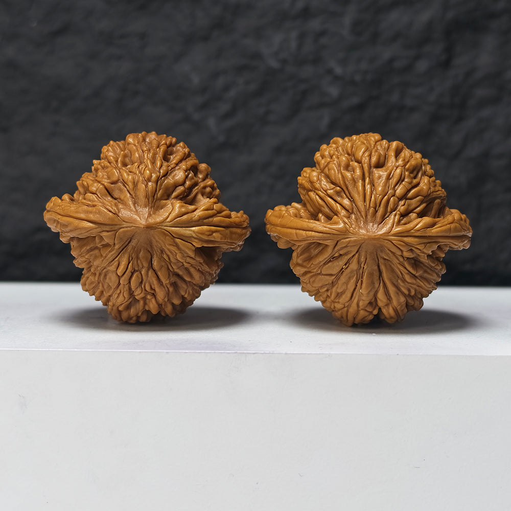 "Liger" Shi Hu Shou HT-SS-006912 Masterpiece Wenwan Walnuts Pair | 47.0mm x 45.0mm | HT-SS-006912