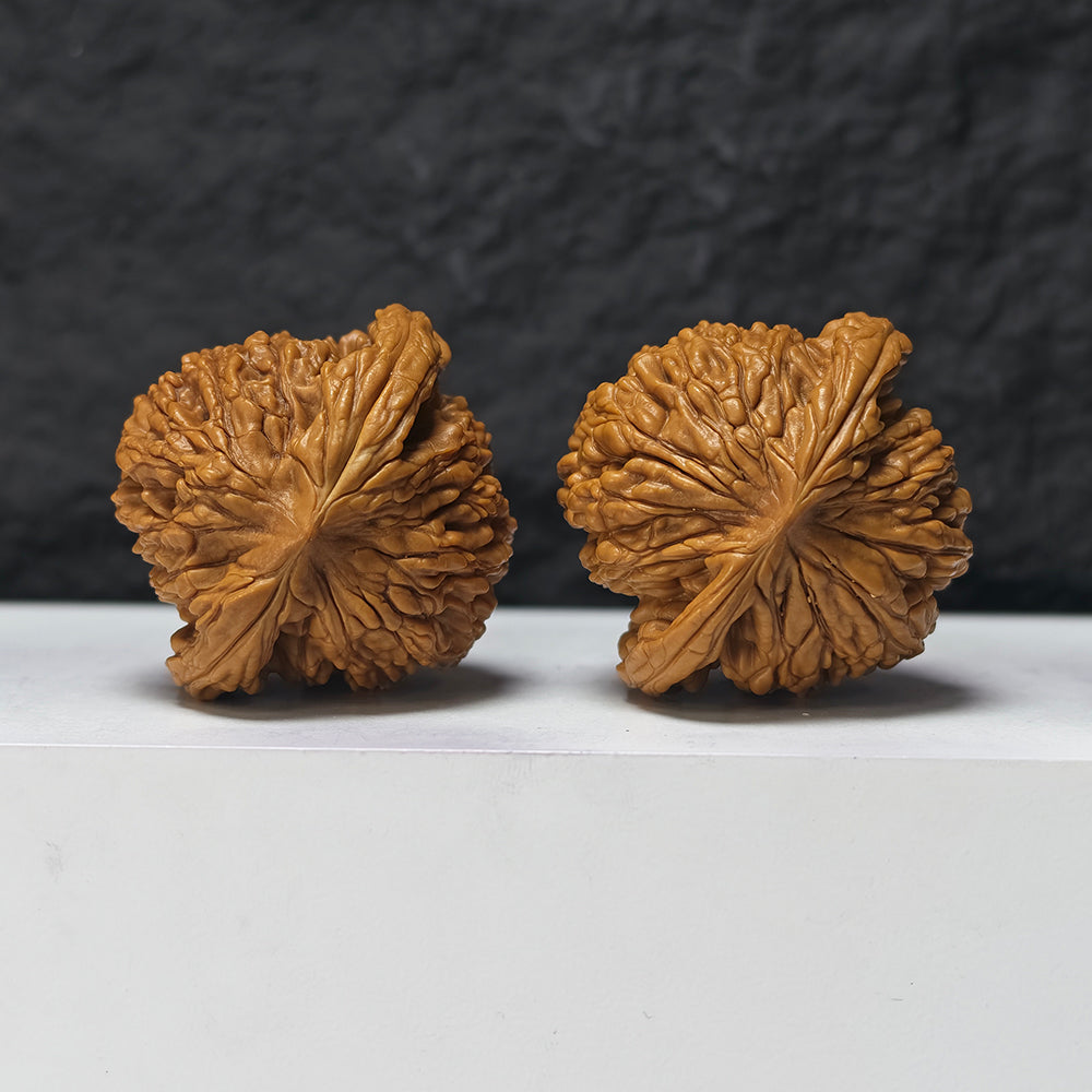 "Liger" Shi Hu Shou HT-SS-006912 Masterpiece Wenwan Walnuts Pair | 47.0mm x 45.0mm | HT-SS-006912
