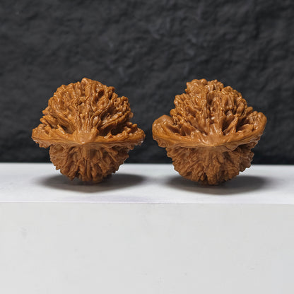 "Peach Heart Concave Base Official's Hat" Tao Xin Ao Di Guan Mao GM-SSS-009896 Masterpiece Wenwan Walnuts Pair | 46.0mm x 44.0mm | GM-SSS-009896