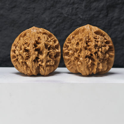 "Concave-Base Kirin Scale Pattern" Qi Lin Wen Ao Di SZ-SSS-016910 Masterpiece Wenwan Walnuts Pair | 53.0mm x 48.0mm | SZ-SSS-016910