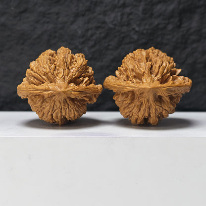 "Concave-Base Kirin Scale Pattern" Qi Lin Wen Ao Di SZ-SSS-016910 Masterpiece Wenwan Walnuts Pair | 53.0mm x 48.0mm | SZ-SSS-016910