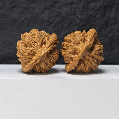 "Concave-Base Kirin Scale Pattern" Qi Lin Wen Ao Di SZ-SSS-016910 Masterpiece Wenwan Walnuts Pair | 53.0mm x 48.0mm | SZ-SSS-016910