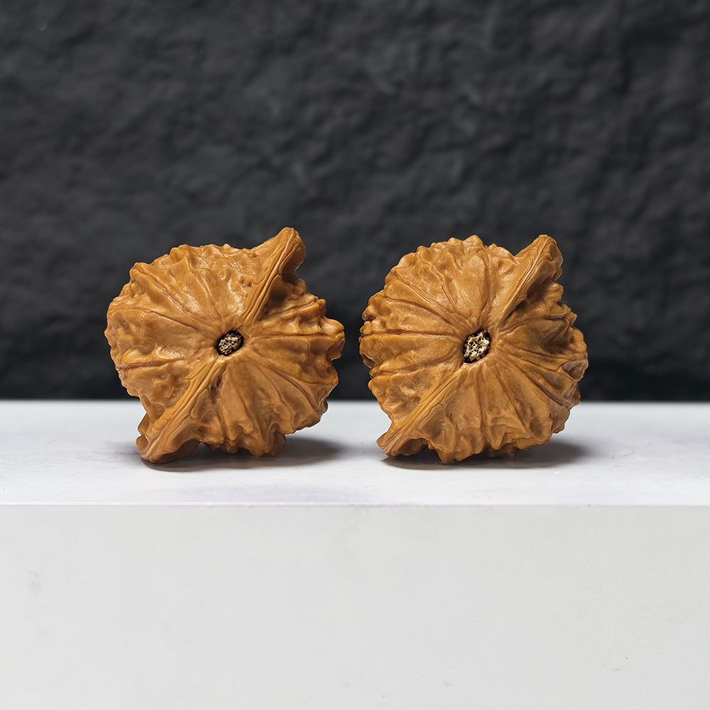 "Porcelain Doll" Ci Wa Wa GM-SSS-010903 Masterpiece Wenwan Walnuts Pair | 43.0mm x 38.0mm | GM-SSS-010903