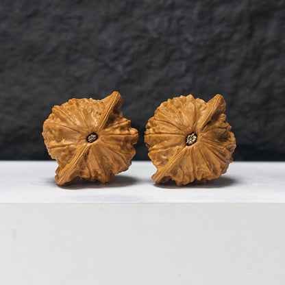 "Porcelain Doll" Ci Wa Wa GM-SSS-010903 Masterpiece Wenwan Walnuts Pair | 43.0mm x 38.0mm | GM-SSS-010903