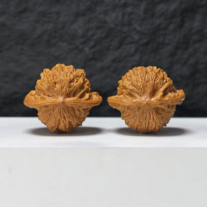 "Porcelain Doll" Ci Wa Wa GM-SSS-010903 Masterpiece Wenwan Walnuts Pair | 43.0mm x 38.0mm | GM-SSS-010903