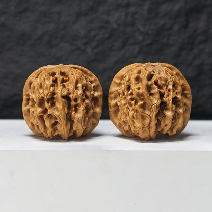"Arhat Stone" Luo Han Shi SZ-SSS-018914 Masterpiece Wenwan Walnuts Pair | 44.0mm x 43.0mm | SZ-SSS-018914