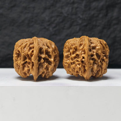 "Arhat Stone" Luo Han Shi SZ-SSS-018914 Masterpiece Wenwan Walnuts Pair | 44.0mm x 43.0mm | SZ-SSS-018914