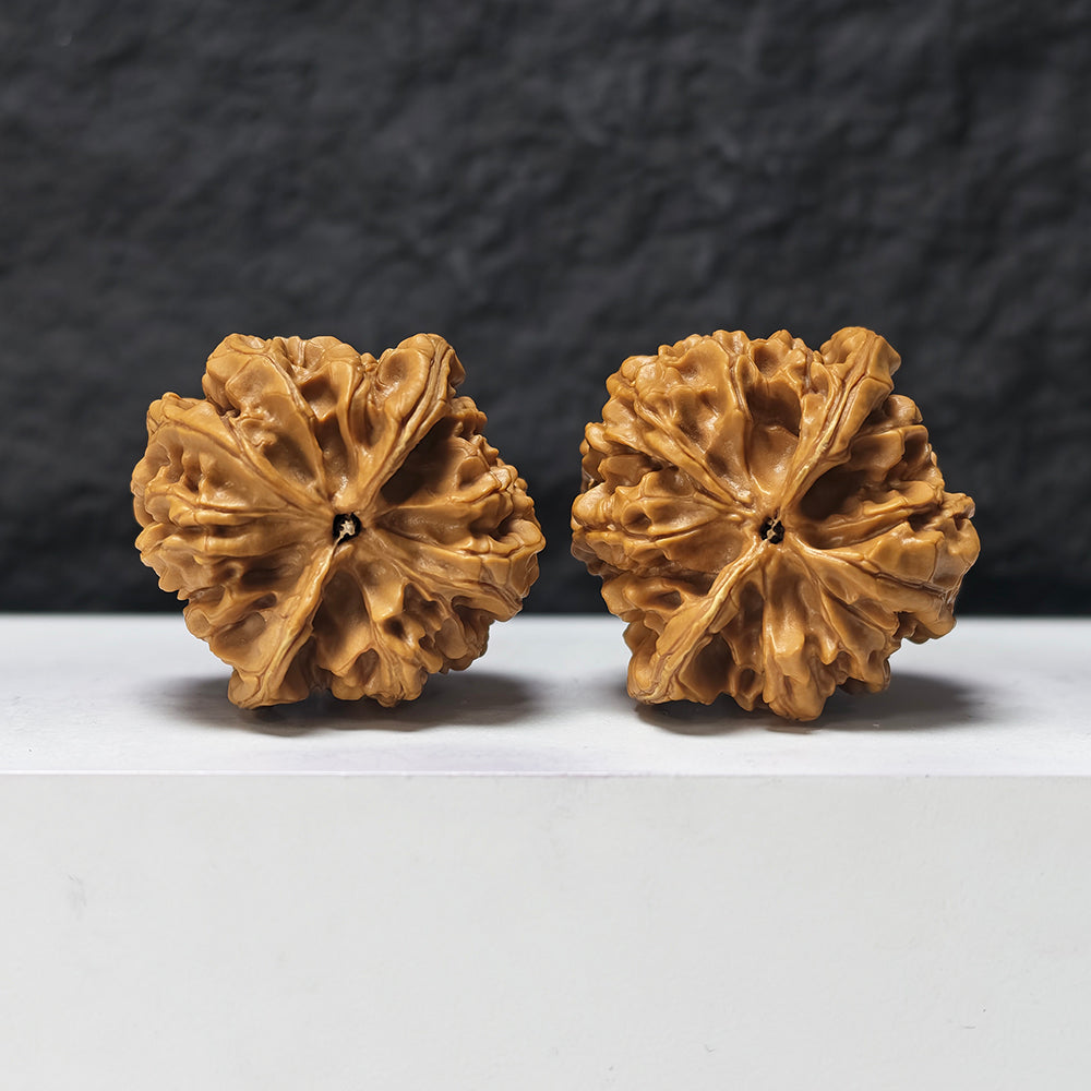 "Arhat Stone" Luo Han Shi SZ-SSS-018914 Masterpiece Wenwan Walnuts Pair | 44.0mm x 43.0mm | SZ-SSS-018914