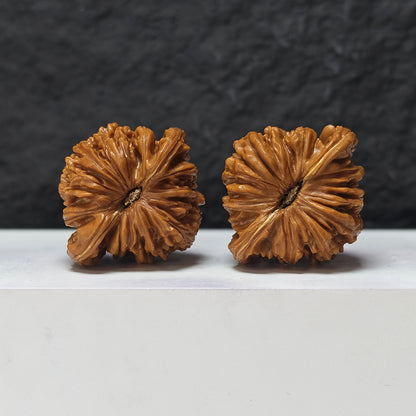 "Si Zuo Lou" Si Zuo Lou SZL-SS-002898 Masterpiece Wenwan Walnuts Pair | 45.0mm x 41.0mm | SZL-SS-002898