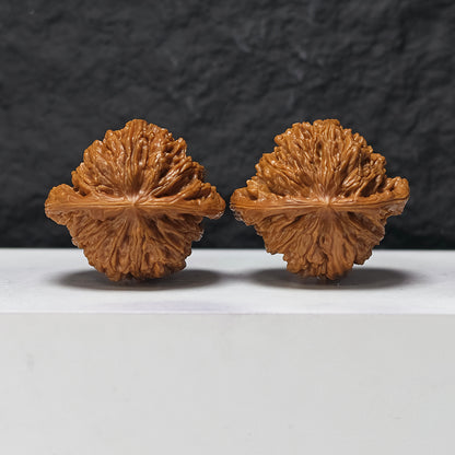 "Si Zuo Lou" Si Zuo Lou SZL-SS-002898 Masterpiece Wenwan Walnuts Pair | 45.0mm x 41.0mm | SZL-SS-002898