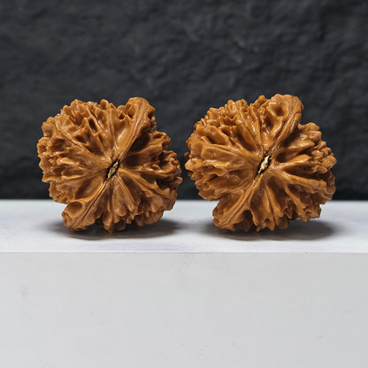 "Nine-Story Demon Tower" Jiu Ceng Yao Ta JX-SSSS-001908 Museum Collector Wenwan Walnuts Pair | 46.0mm x 47.0mm | JX-SSSS-001908