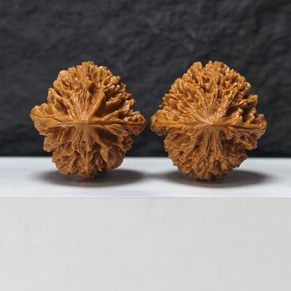 "Nine-Story Demon Tower" Jiu Ceng Yao Ta JX-SSSS-001908 Museum Collector Wenwan Walnuts Pair | 46.0mm x 47.0mm | JX-SSSS-001908