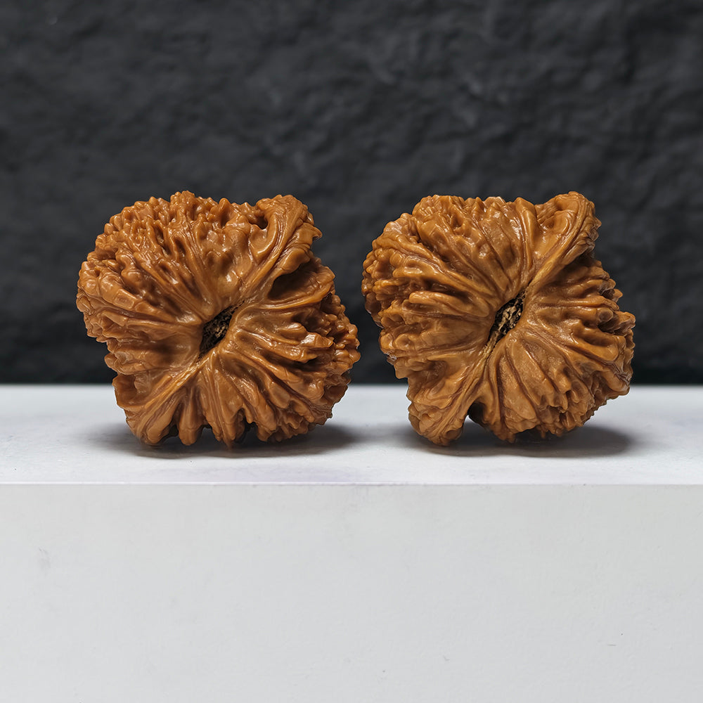 "Spherical Nan Jiang Shi" Qiu Xing Nan Jiang Shi NJS-SS-004901 Masterpiece Wenwan Walnuts Pair | 46.0mm x 46.0mm | NJS-SS-004901
