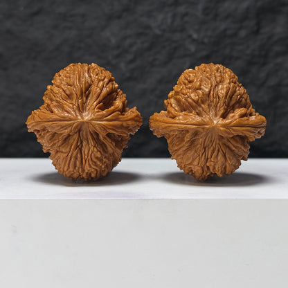 "Spherical Nan Jiang Shi" Qiu Xing Nan Jiang Shi NJS-SS-004901 Masterpiece Wenwan Walnuts Pair | 46.0mm x 46.0mm | NJS-SS-004901