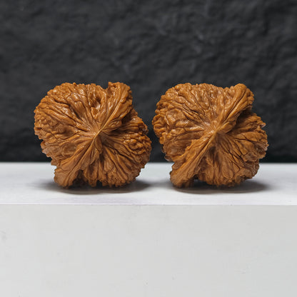 "Spherical Nan Jiang Shi" Qiu Xing Nan Jiang Shi NJS-SS-004901 Masterpiece Wenwan Walnuts Pair | 46.0mm x 46.0mm | NJS-SS-004901