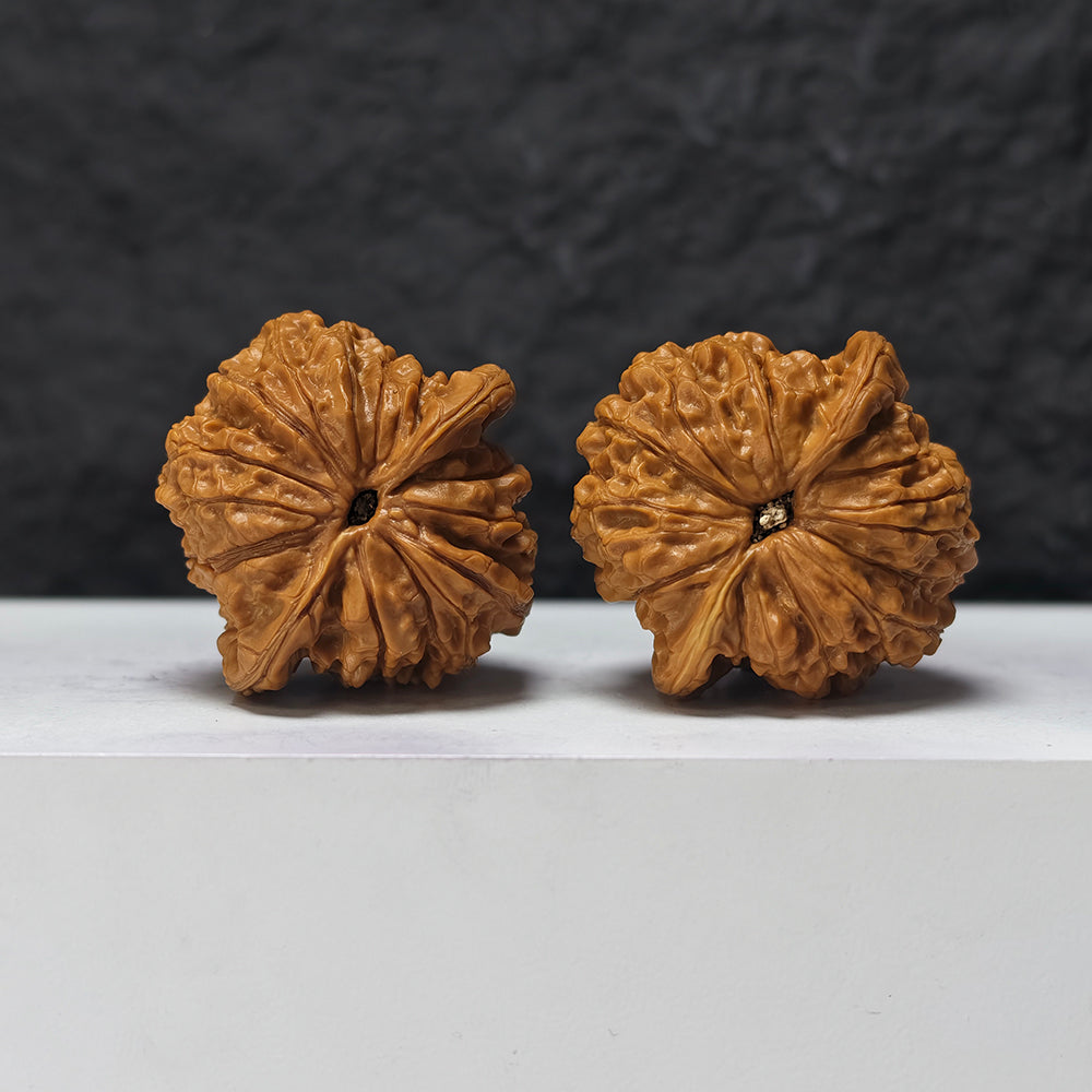"Blood Kirin" Xue Qi Lin SZ-SSS-017911 Masterpiece Wenwan Walnuts Pair | 42.0mm x 42.0mm | SZ-SSS-017911
