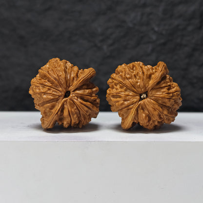"Blood Kirin" Xue Qi Lin SZ-SSS-017911 Masterpiece Wenwan Walnuts Pair | 42.0mm x 42.0mm | SZ-SSS-017911