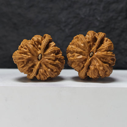 "Thick-Veined Mountain Eagle" Da Cu Jin Zuo Shan Diao YX-E-175885 Entry Select Wenwan Walnuts Pair | 45.0mm x 46.0mm | YX-E-175885
