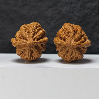 "Thick-Veined Mountain Eagle" Da Cu Jin Zuo Shan Diao YX-E-175885 Entry Select Wenwan Walnuts Pair | 45.0mm x 46.0mm | YX-E-175885
