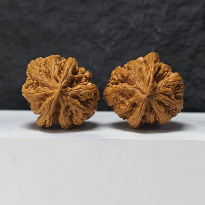 "Thick-Veined Mountain Eagle" Da Cu Jin Zuo Shan Diao YX-E-175885 Entry Select Wenwan Walnuts Pair | 45.0mm x 46.0mm | YX-E-175885